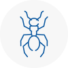 Ant Removals In Buckingham