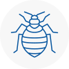 Bed Bug Extermination In Buckingham