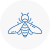 Bee Nest Removal Buckingham