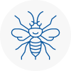 Buckingham Hornet Nest Removals