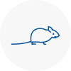 Mice Exterminators In Buckingham