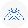 Moth Control Specialists In Buckingham
