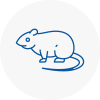 Rat Control Buckingham