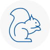Buckingham Rodent Removals