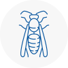 Buckingham Wasp Nest Removal